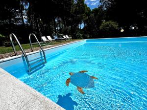 Villa by the Sea and Pool