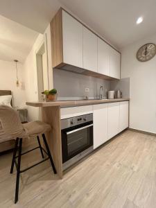 Luxury apartment Skalina & Volat