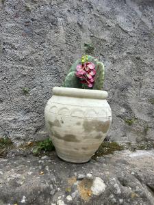 Casa Fiore nella Roccia