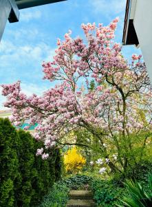 Ferienwohnung an den Weinbergen