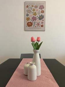 Appartamento Montesacro Roma