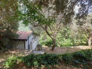 Agriturismo "Donna Cettina" - Dimora Presti