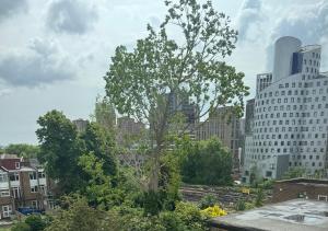 Your Base To Explore London