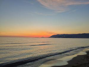 Alex Holiday Apartment