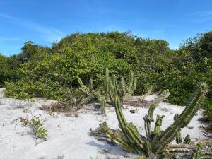 Resort - Arraial do Cabo - Golden Lake