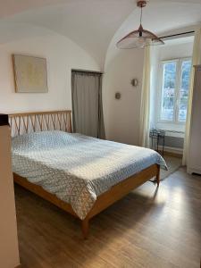 Appartements Jolie studio au coeur de la ville : photos des chambres