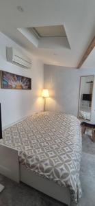 Maisons de vacances Le Petit Blagnacais : photos des chambres