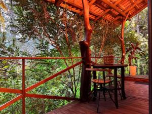 Chalé Matas de Camboriú