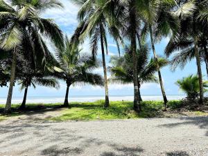 Lynn de Mar Azul, Beachfront