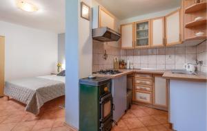 Lovely Home In Valbandon With Kitchen