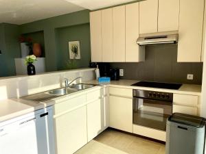 Attic Apartment in Nieuwpoort by the Beach