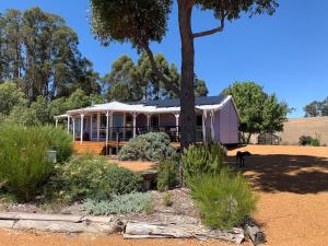 Belmira Vines Private Vineyard Escape!