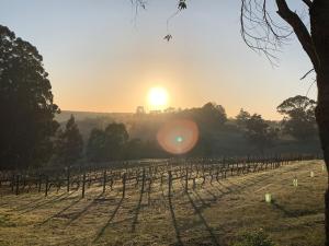 Belmira Vines Private Vineyard Escape!