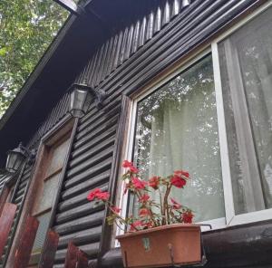 Cabaña mandala - Ubytování bez kategorie ve městě Tigre