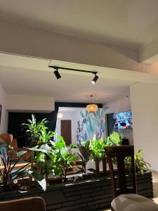 Laureles Garden Hostel