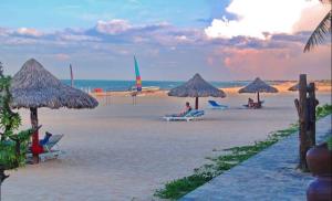 Hải Âu Hotel and Apartment