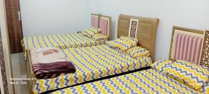 Apartment For Rent In Miami,Alexandria