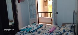 Apartment For Rent In Miami,Alexandria