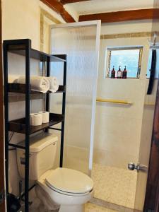 Beautiful Jr Suite in the heart of Puerto Vallarta