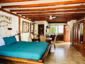 Beautiful Jr Suite in the heart of Puerto Vallarta