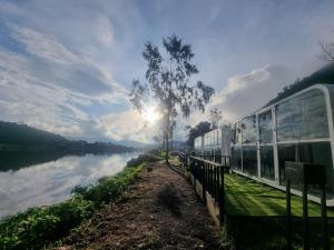 Epel Bintang tepi danau