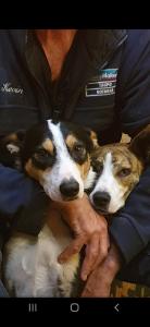 Rough Meadows - MTB Haven & Good Vibes Retreat - Ubytování bez kategorie ve městě Rotorua