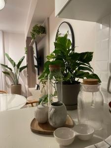 Art08 Milu - Miraflores Cerca de Larcomar