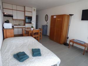 Appartements Les Pieds dans l-Eau, studio terrasse face mer : photos des chambres