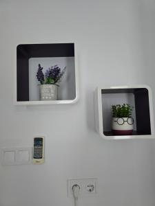 Stephanovy Guest House