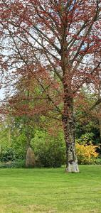 Château de Montmireil