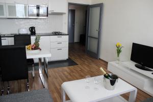 Apartmán Apartment Tomino II Brno Česko