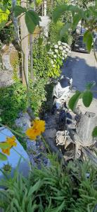 Floras Guesthouse The Fir Gate