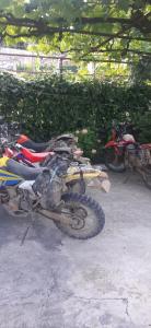 Floras Guesthouse The Fir Gate