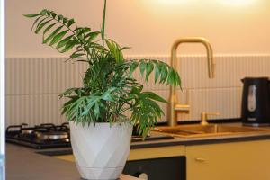 Modern Central Apt Near Stamba - By Wehost