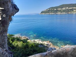 Appartements Beauty : photos des chambres