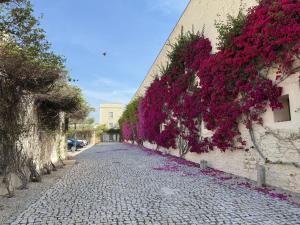 Convento das bernardas - One of a kind Apartment - Tavira