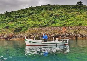 Renovated stone villa on the island Rava, Zadar