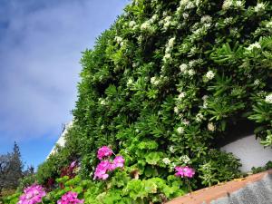 Appartements Beauty : photos des chambres