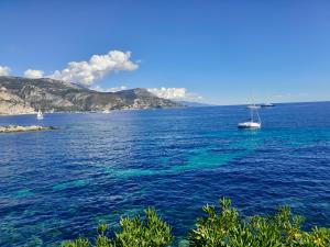 Appartements Beauty : Appartement