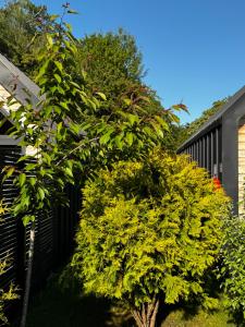 Trzy Domki w Mielnie