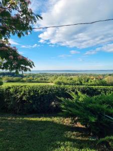 Vadvirág Vendégház