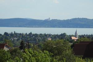 Vadvirág Vendégház