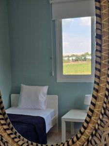 Kapparis - Blue and aqua