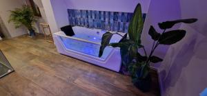 Appartements La Villa du Parc - Alsace & Vosges : photos des chambres