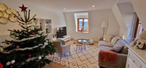 Appartements La Villa du Parc - Alsace & Vosges : Appartement Supérieur avec Sauna
