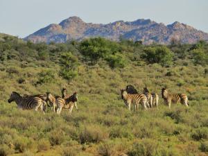 Swartfontein Game and Adventure Lodge