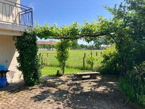 Appartements Gite Espinasse : photos des chambres