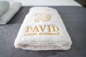 David Luxury Experience Β3