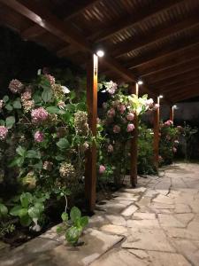 Spitaki