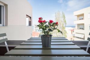 David Luxury Experience E1